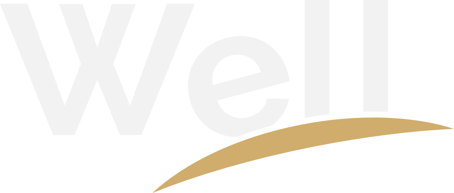 Ponuda Well Business Promotion